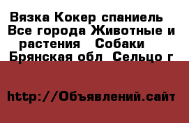 Вязка Кокер спаниель - Все города Животные и растения » Собаки   . Брянская обл.,Сельцо г.